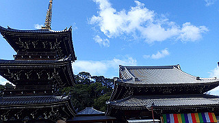 p1090057_thumb.jpg