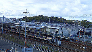 p1090065_thumb.jpg