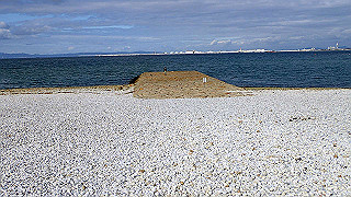 p1090076_thumb.jpg