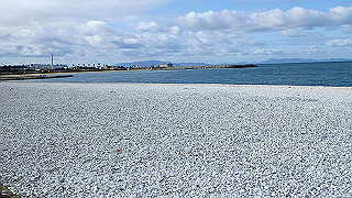 p1090078_thumb.jpg
