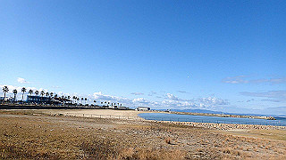 p1090087_thumb.jpg