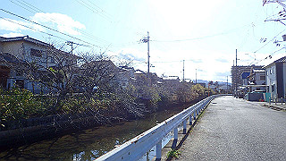 p1090094_thumb.jpg