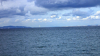 p1090114_thumb.jpg