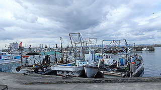 p1090116_thumb.jpg
