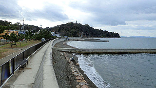 p1090119_thumb.jpg
