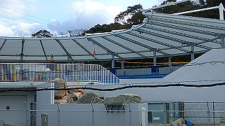 p1090124_thumb.jpg