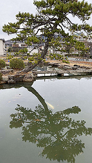 20200114_013200772_ios_thumb.jpg