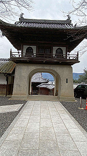 20200114_020554970_ios_thumb.jpg