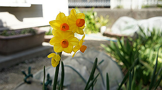 dsc02356_thumb.jpg