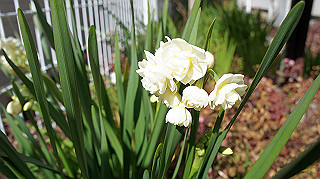 dsc02361_thumb.jpg