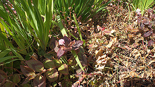 dsc02363_thumb.jpg