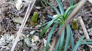 dsc02369_thumb.jpg