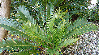 dsc02370_thumb.jpg