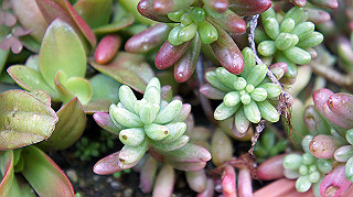 dsc02377_thumb.jpg