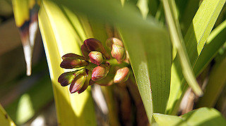 dsc02380_thumb.jpg