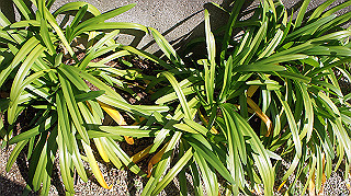 dsc02384_thumb.jpg