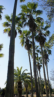 dsc02398_thumb.jpg