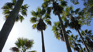 dsc02399_thumb.jpg