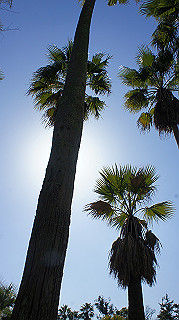 dsc02400_thumb.jpg
