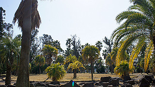 dsc02401_thumb.jpg
