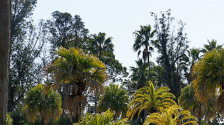 dsc02402_thumb.jpg