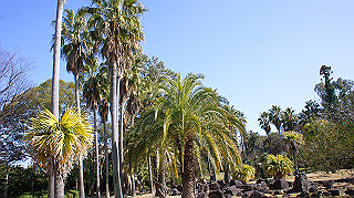 dsc02403_thumb.jpg