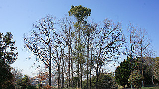 dsc02404_thumb.jpg