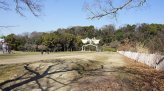 dsc02405_thumb.jpg