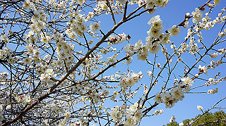 dsc02410_thumb.jpg