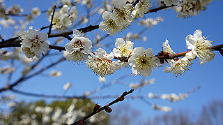 dsc02411_thumb.jpg