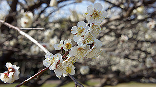 dsc02412_thumb.jpg