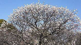 dsc02413_thumb.jpg