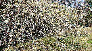 dsc02416_thumb.jpg