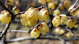 dsc02419_thumb.jpg
