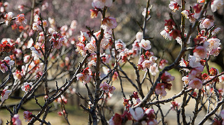 dsc02420_thumb.jpg