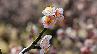 dsc02421_thumb.jpg