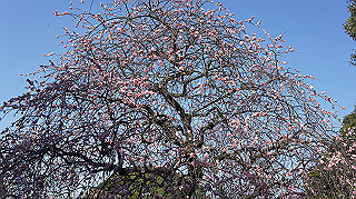 dsc02423_thumb.jpg