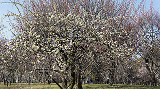 dsc02428_thumb.jpg