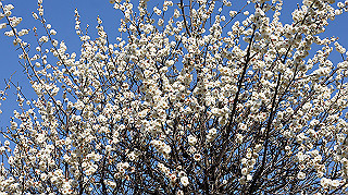 dsc02431_thumb.jpg