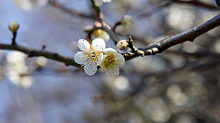 dsc02434_thumb.jpg