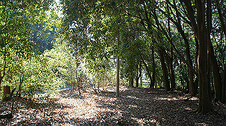 dsc02438_thumb.jpg