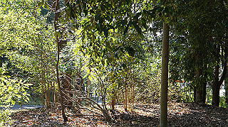 dsc02439_thumb.jpg