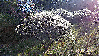 p2210001_thumb.jpg