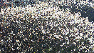 p2210002_thumb.jpg