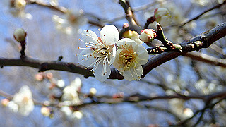 p2210003_thumb.jpg