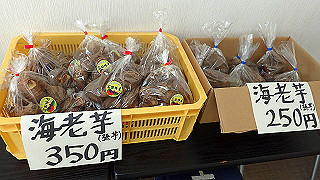 p3070015_thumb.jpg