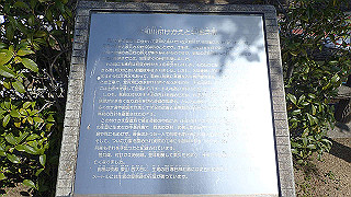 p3070026_thumb.jpg