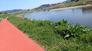 p3070074_thumb.jpg