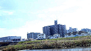 p3070076.mp4_thumb.jpg