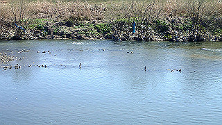 p3070088_thumb.jpg